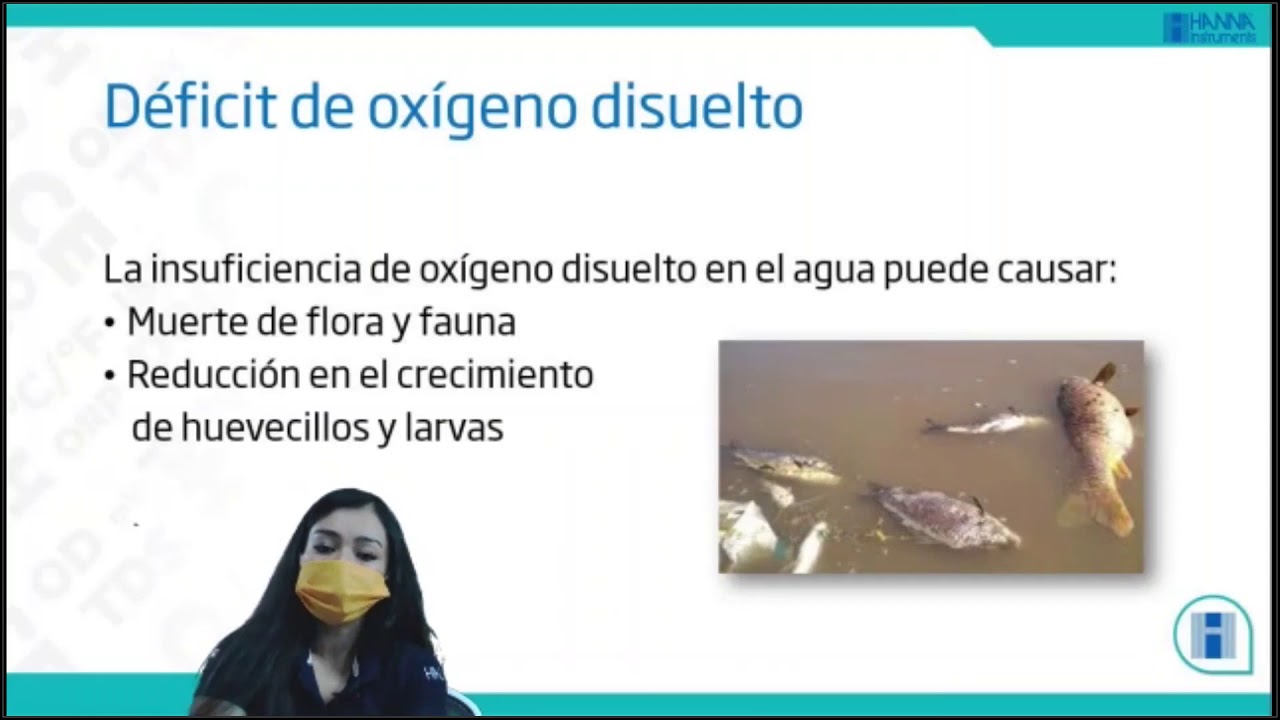 ¿Qué es la DBO y el efecto que tiene la presencia de microorganismos en el estanque?