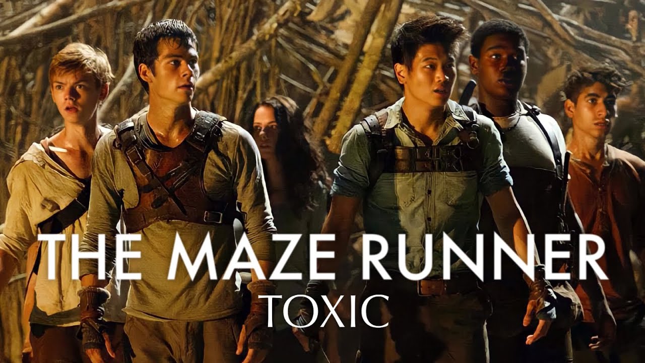↳  THE MAZE RUNNER  || TOXIC
