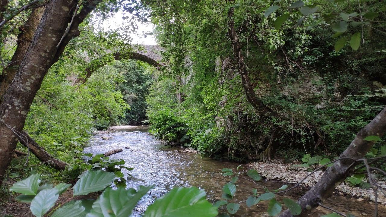 Viaggio nelle Gole del Farfa, una riserva naturale regionale 'dimenticata'