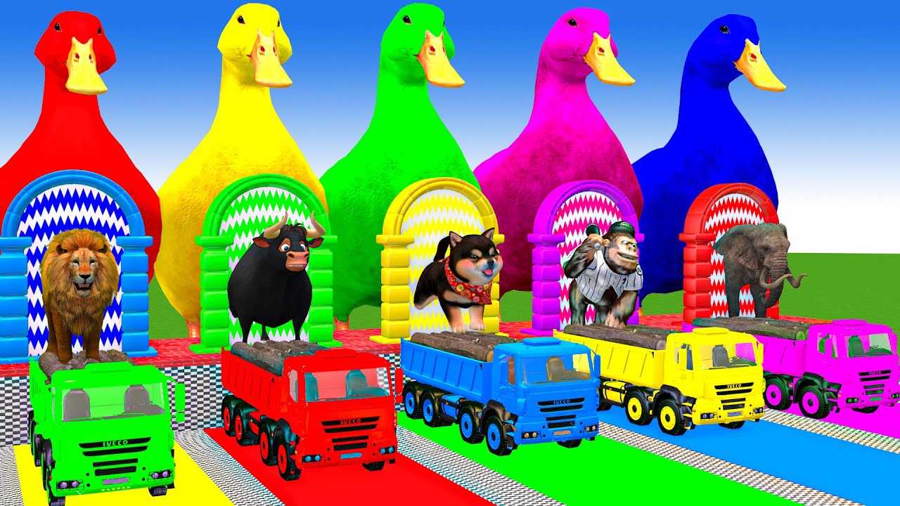 Long Slide Game With Cow Elephant Gorilla Hippopotamus Tiger 3d Animal Game Funny 3d Animals