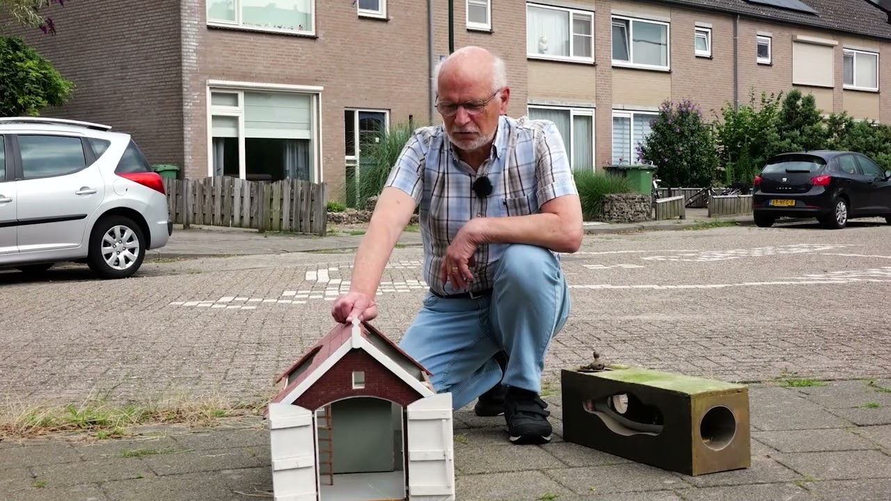 80 jaar bevrijding, verhaal 3, het verhaal van Jos Korsten over de piloten in Den Dungen