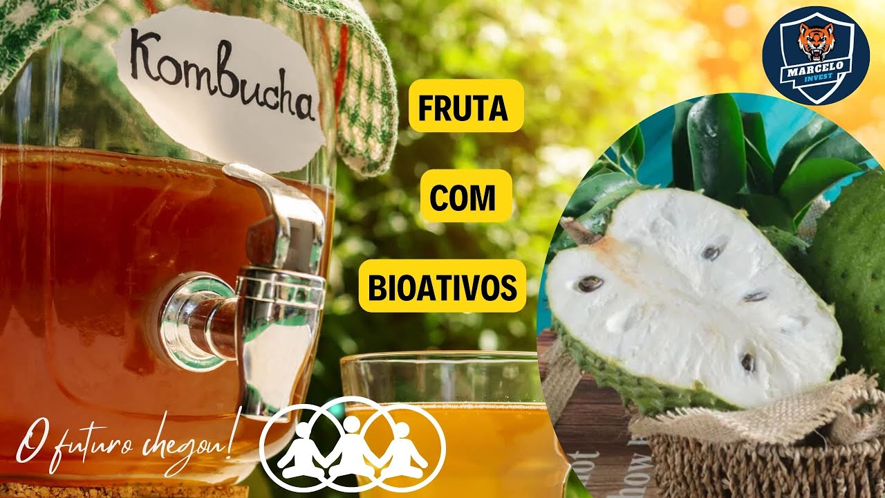 COMO SABORIZAR KOMBUCHA COM GRAVIOLA