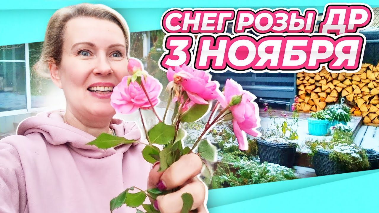 ВЛОГ ДОМАШНИЙ ДЕНЬ РОЖДЕНИЯ ВДВОЕМ | ДР МУЖА 3 ноября