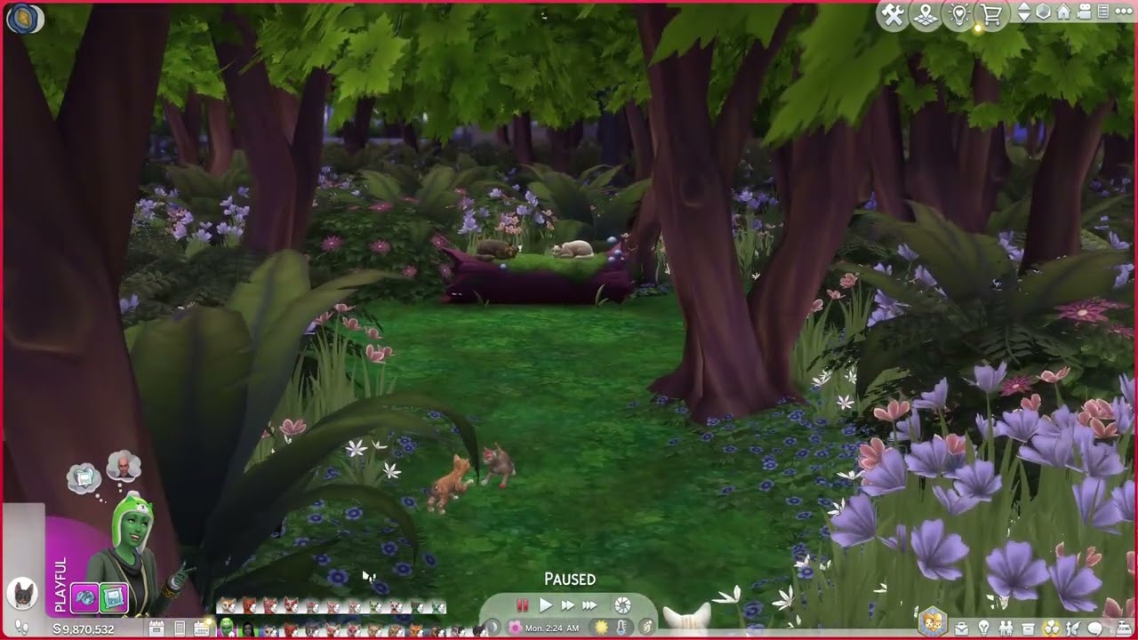 New Seedlings |Warrior Cats Sims 4 |Sunlit Echo 39