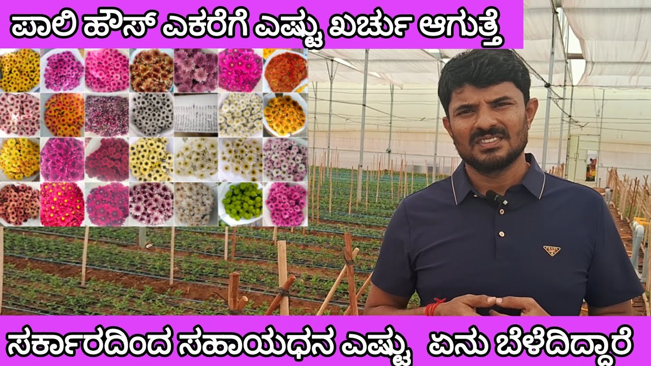10 ಗುಂಟೆ ಇದ್ದರು ಪಾಲಿಹೌಸ್ ಮಾಡಬಹುದಾ ? ಕರ್ನಾಟಕದಲ್ಲಿ ಎಕರೆಗೆ ಎಷ್ಟು ಖರ್ಚಾಗುತ್ತದೆ ? | polyhouse information