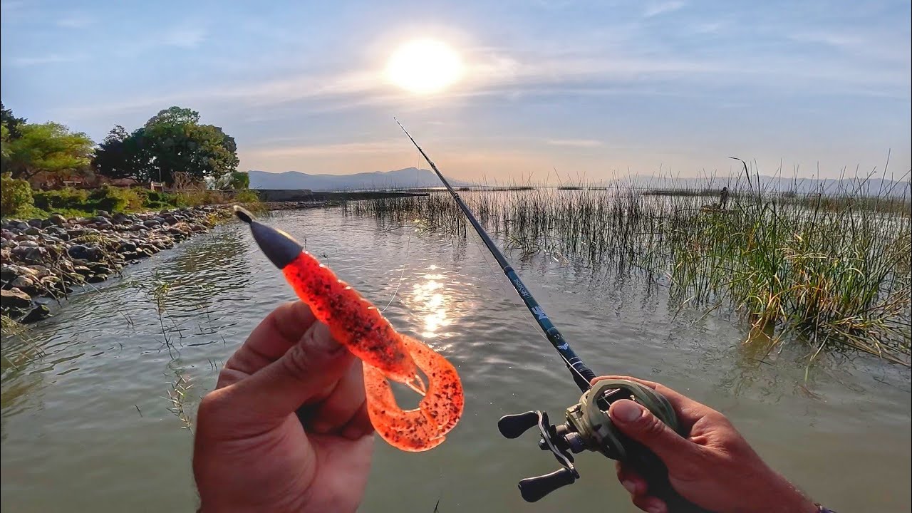 OJALÁ hubiera Conocido antes este Señuelo de Pesca!!!