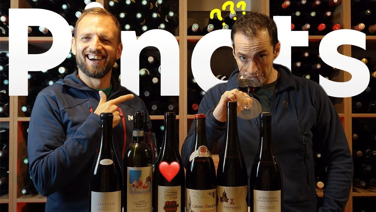Dauvissat, Labet, Sélèque : je piège Kevin avec une dégustation de pinots !