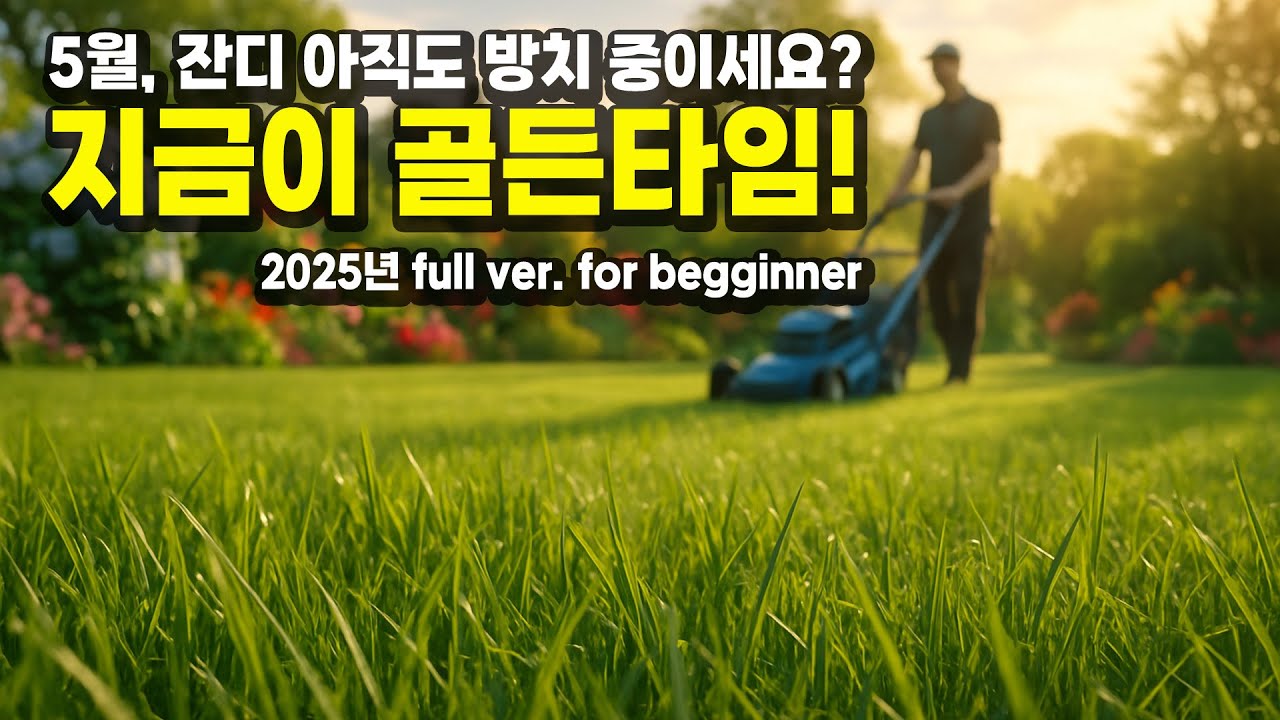 잔디 초보도 따라하는 봄철 관리 루틴 🌱/ 잔디는 깎고, 뿌리고, 숨 쉬게 해야 삽니다 / 잔디가 죽는 이유, 5월에 관리 안 해서입니다