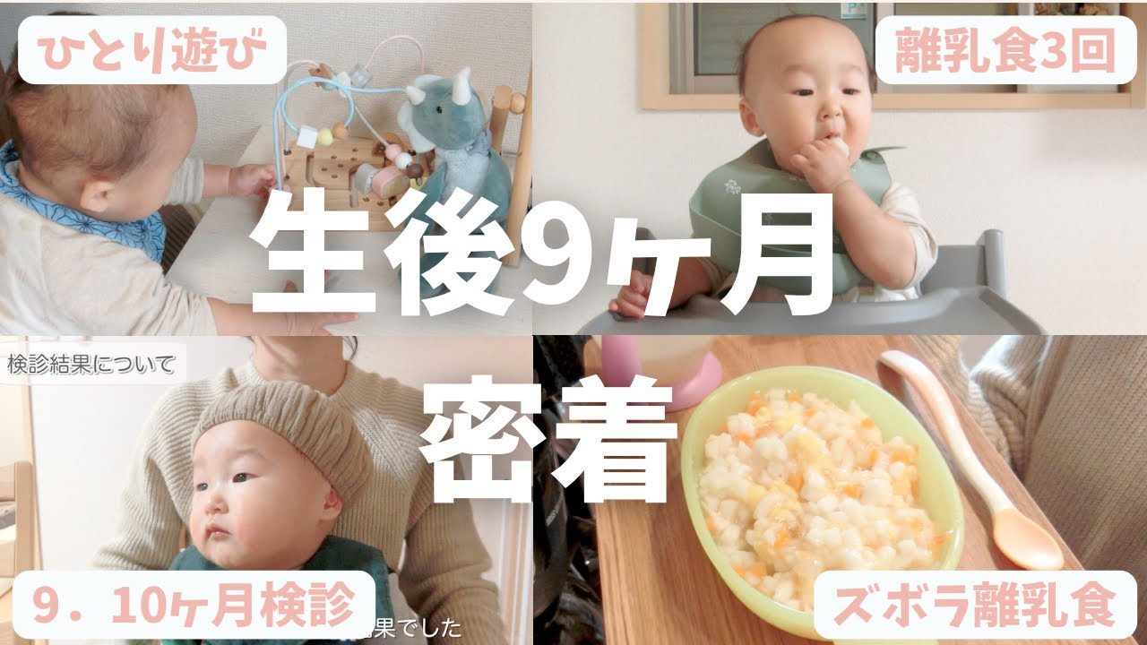 【生後9ヶ月】1日密着！乳児後期検診へ行く日、ドキドキの結果も！離乳食は3回に、遊べるおもちゃも増えてきました！