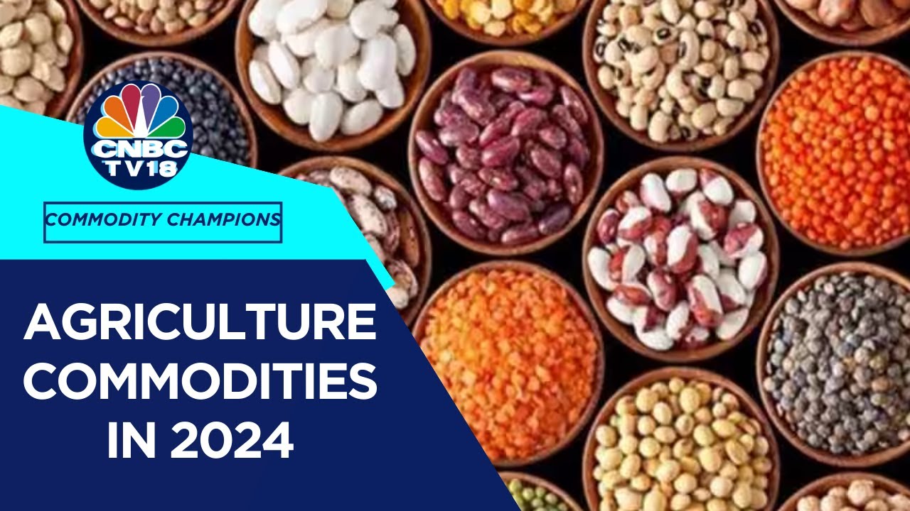 Agriculture Commodities: What Are Key Factors To Watch Out For In 2024