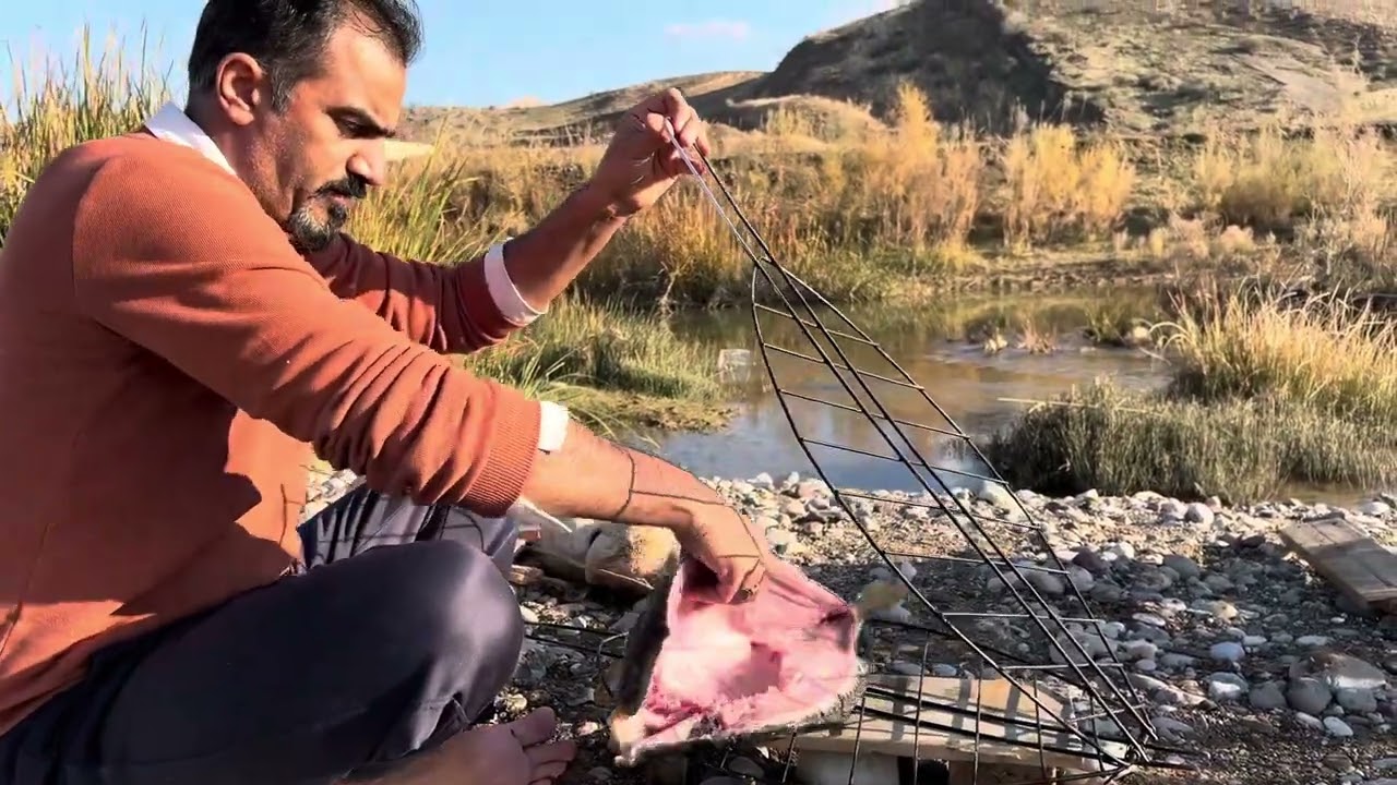 سمك مزكوف في الطبيعه