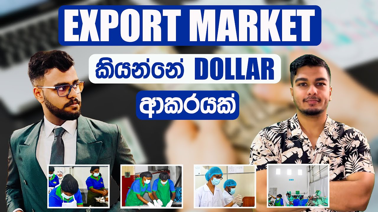 Enter Sri Lanka's Export Market in 2024 and Boost Your Sales