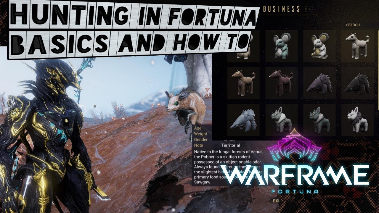 Warframe How to Hunt! Get Floofs!
