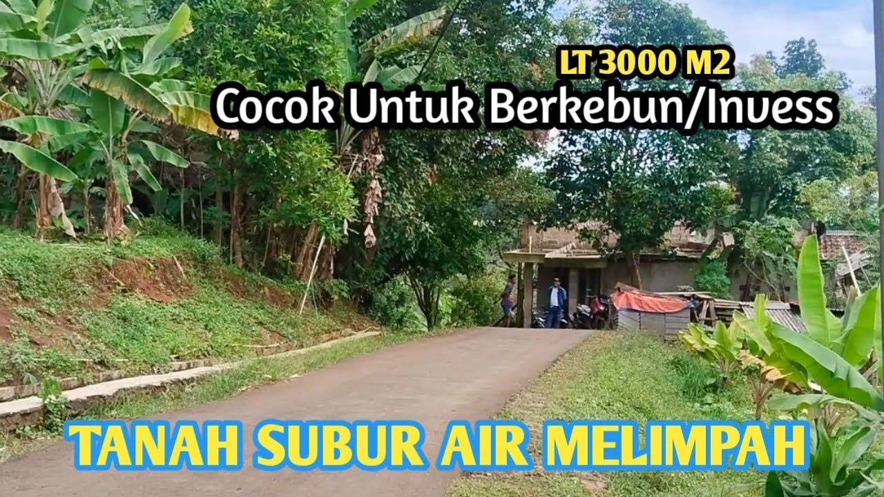 Di jual tanah kebun nempel jln mobil jln desa  lokasidekat pemukiman warga cocokuntuk berkebun/inves