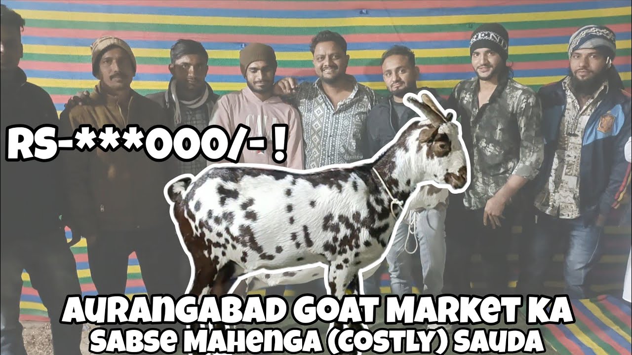 Aurangabad Goats Market ka Sabse Mahenga (Costly) Sauda |MSB Jungle |RS barbari goats farm|#sgfabdul