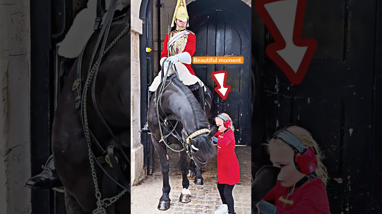 heartwarming moment of the king's guard❤ #kingsguard #horseguardsparade #peterellis #soldier#tourist