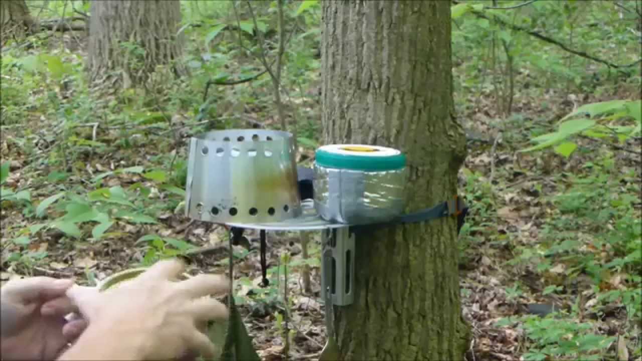 2QZQ Tree Table Review