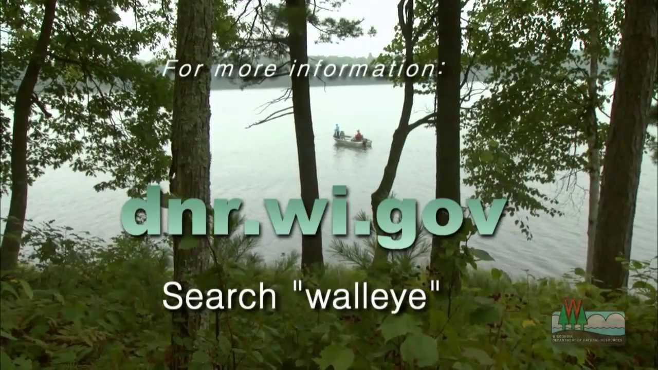 Wisconsin Walleye Initiative
