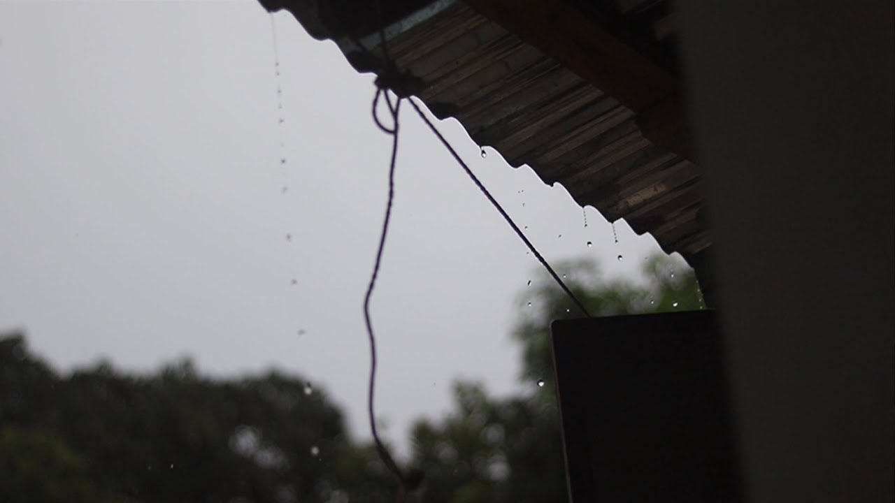 Hard Tin Roof Rain Sounds | 10 Hours Rain On Village Tin Roof House