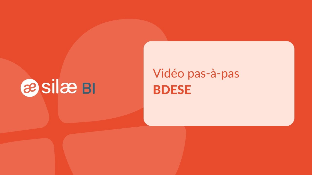 Silae BI -  BDESE