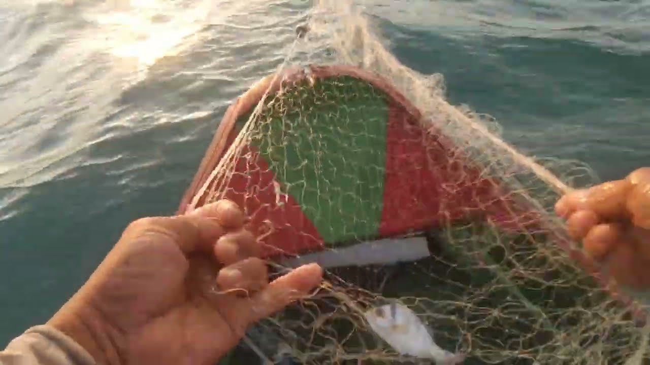 IMPRESSIONANTE COMO SUBIA AS REDES DE PESCA, CHEIA DE PEIXES, GRANDE VARIEDADE 