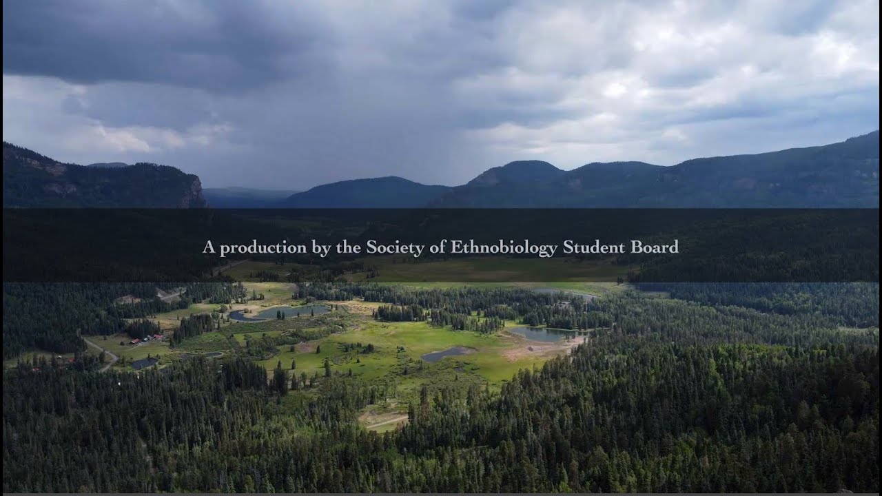 What is Ethnobiology?