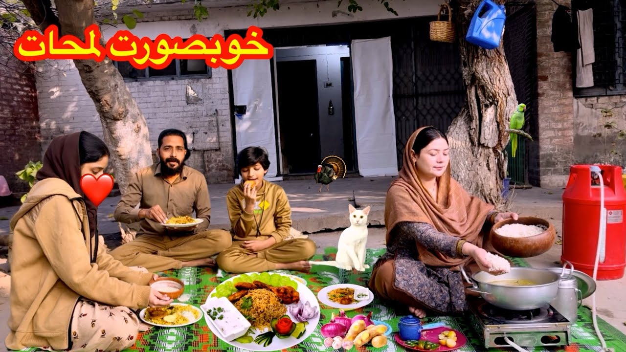 A Cozy Day In The Pakistani Quarters|Traditional Food|Matar pulao with chicken shami ||Top vlogs