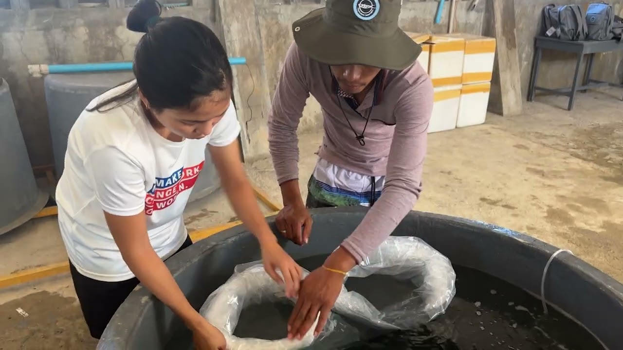 BFAR Training Course on Marine Fish Hatchery Operations