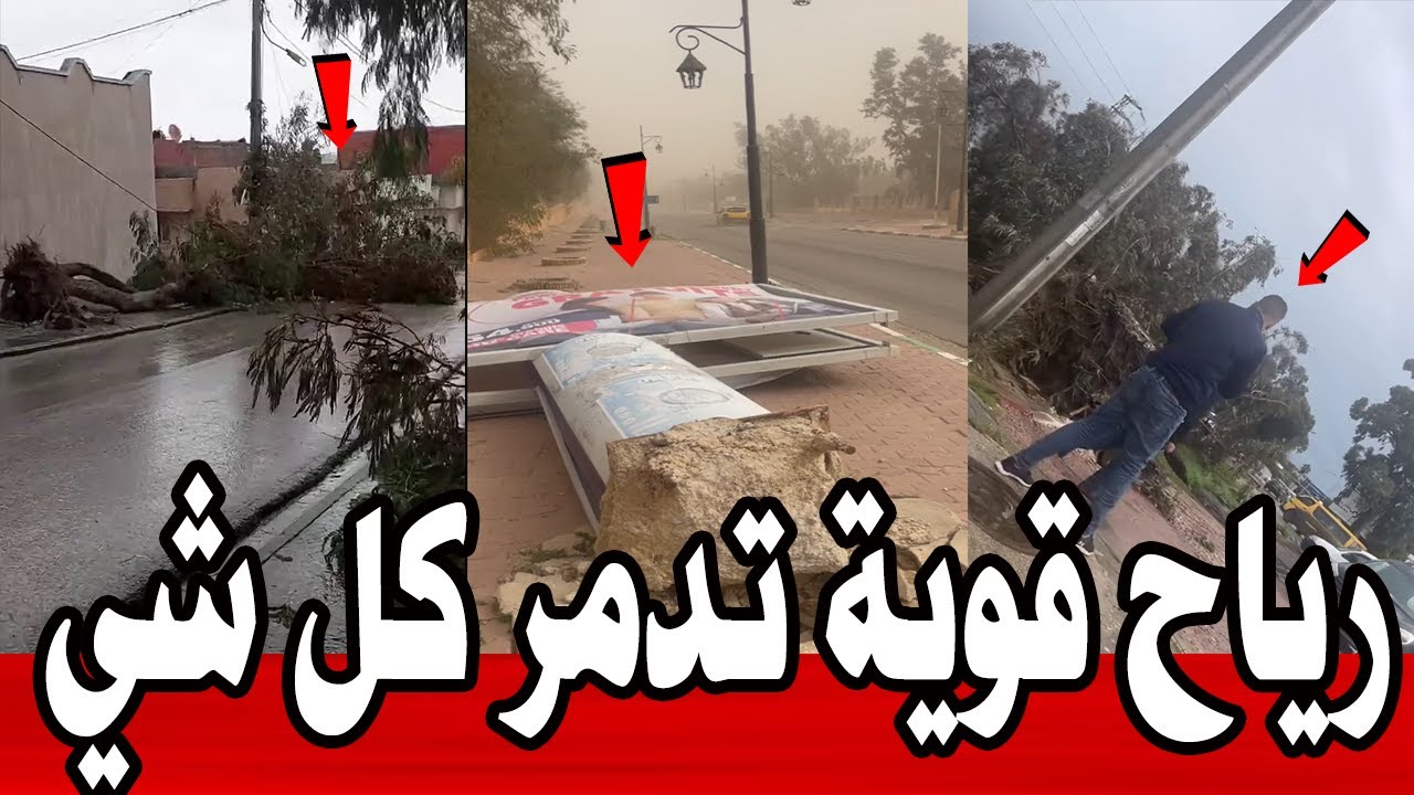 عاجل 🔥 | الرياح القوية تدمّر وتخلّف خسائر كبيرة في عدّة ولايات بالجمهورية #تونس 