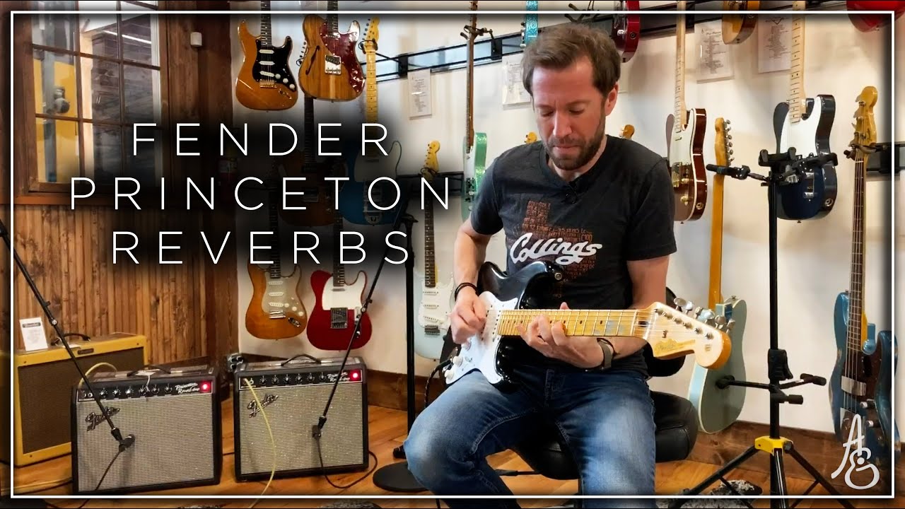 Fender Princeton Reverbs