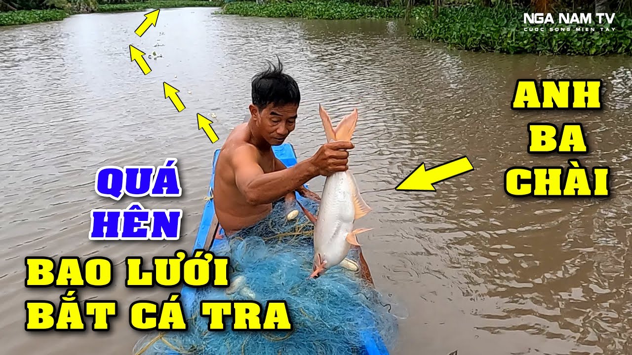 Thấy Đàn Cá Ục Anh Em Lấy Lưới Vây Bắt Và Kết Quả Ba Ba, Rắn, Lươn Nấu Mẻ Lai Rai/Fishing/NGÃ NĂM TV