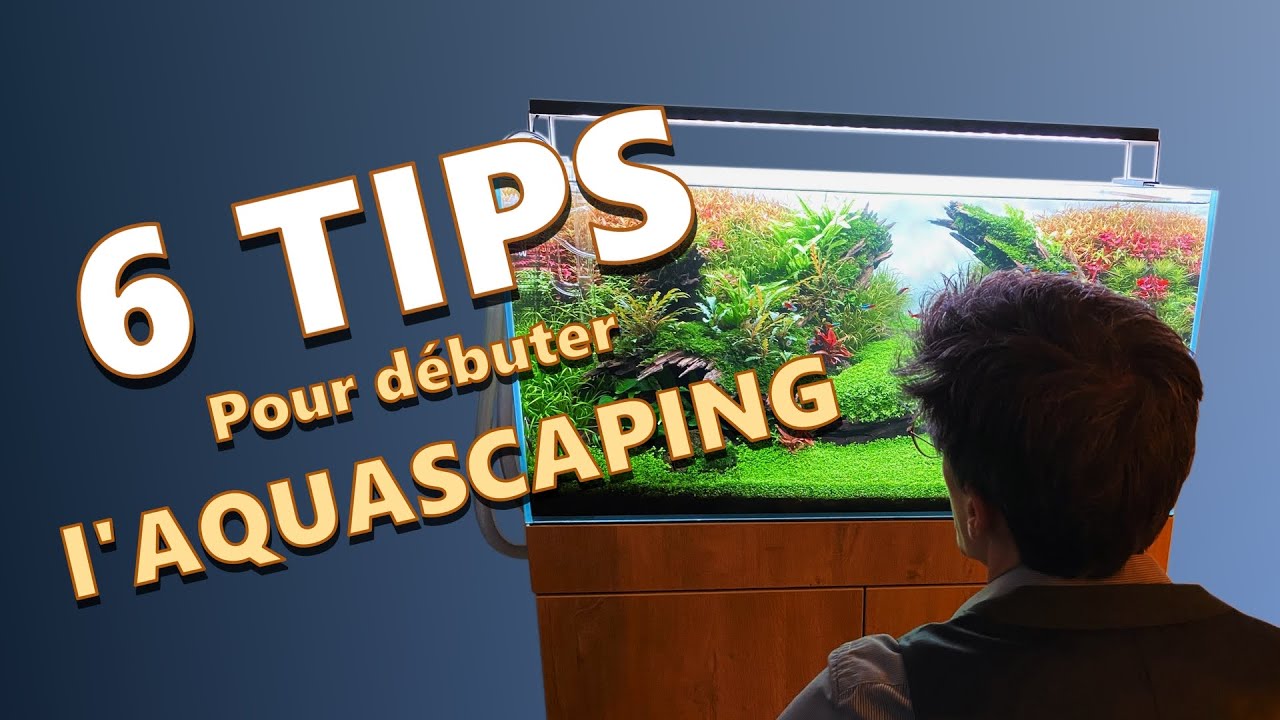 Vous DÉBUTEZ l'Aquascaping en 2026? Ces 6 TIPS sont INDISPENSABLES !