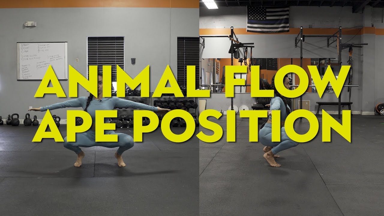Animal Flow Ape (Intro)