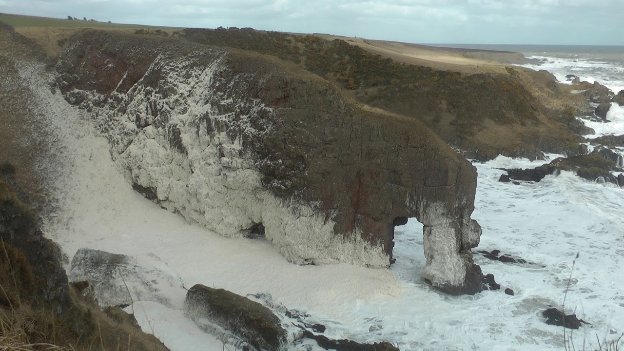 Elephant Rock, near Montrose, Angus, Scotland