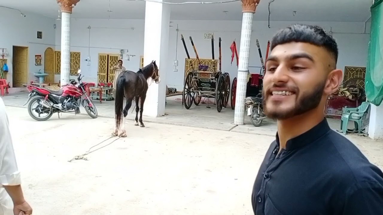 Dera Haji Hanif khan Dawa Ghorghushti | Dera like A Zoo In Ghorghushti