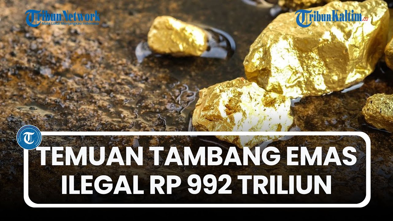 Temuan Tambang Emas Ilegal Rp 992 Triliun Disorot DPR: Kembalikan Uang ke Negara