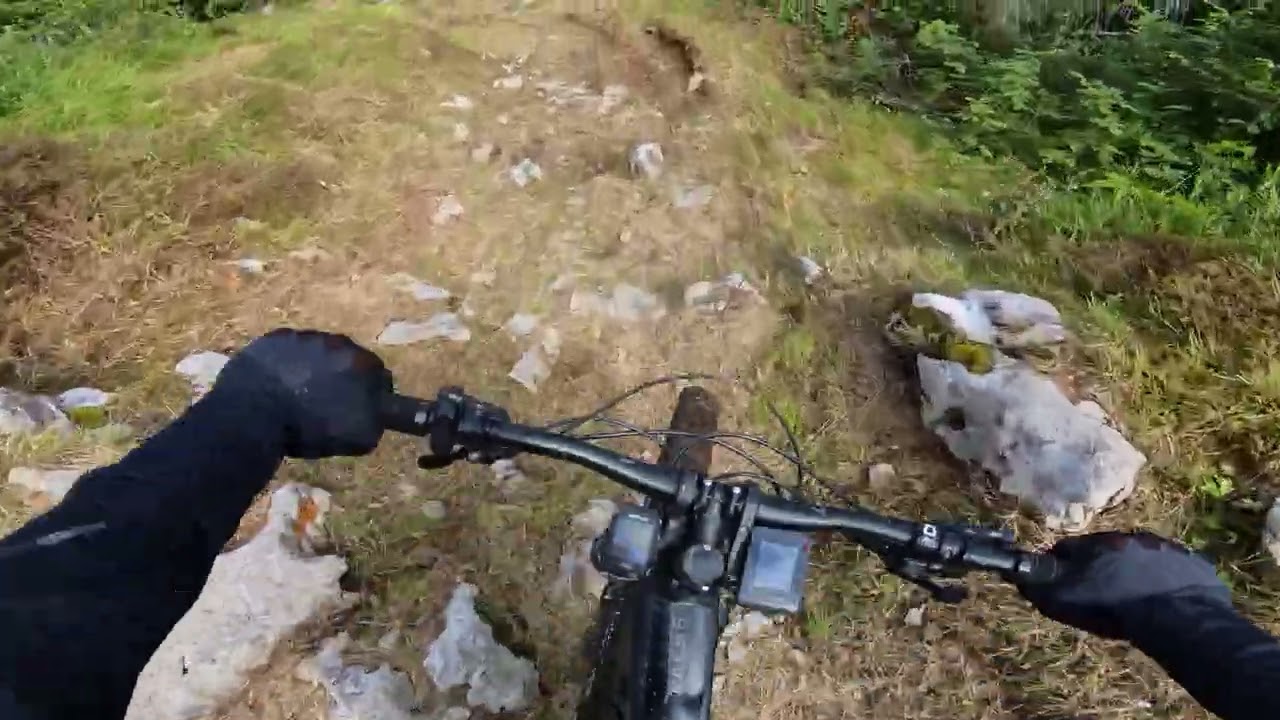 Nevegal Bike park pista Coca DH alta