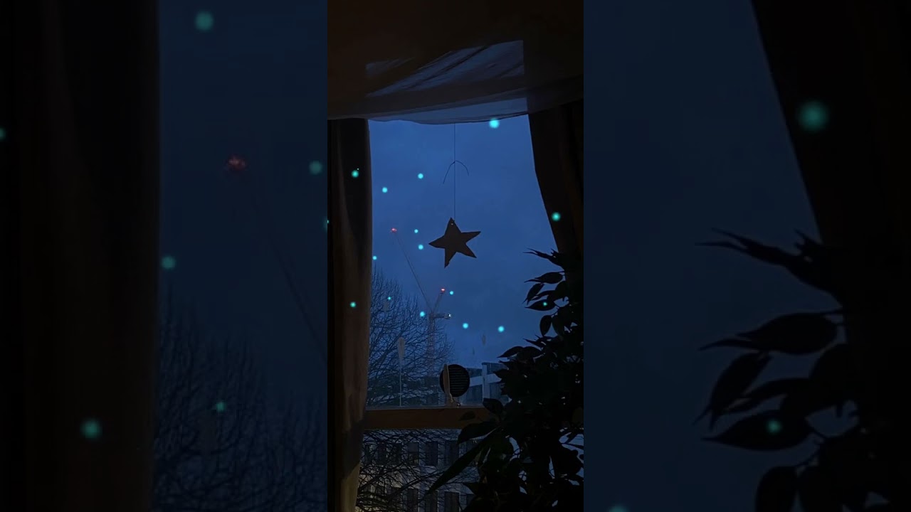 TikTok LIVE（2025/12/2）