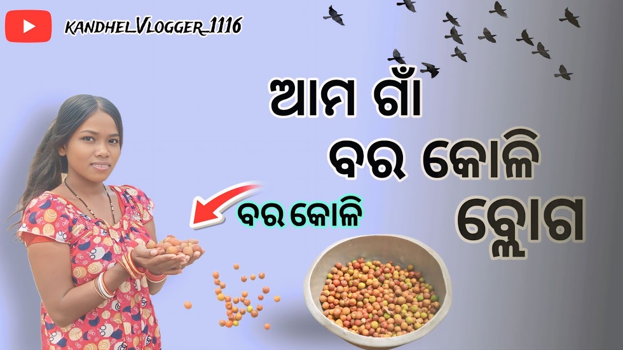 🙏  New Vlog Video◀️ || 🤗 Amo Gaan Bara Koli Vlog || #viral #2026#vlogvideo#new . 