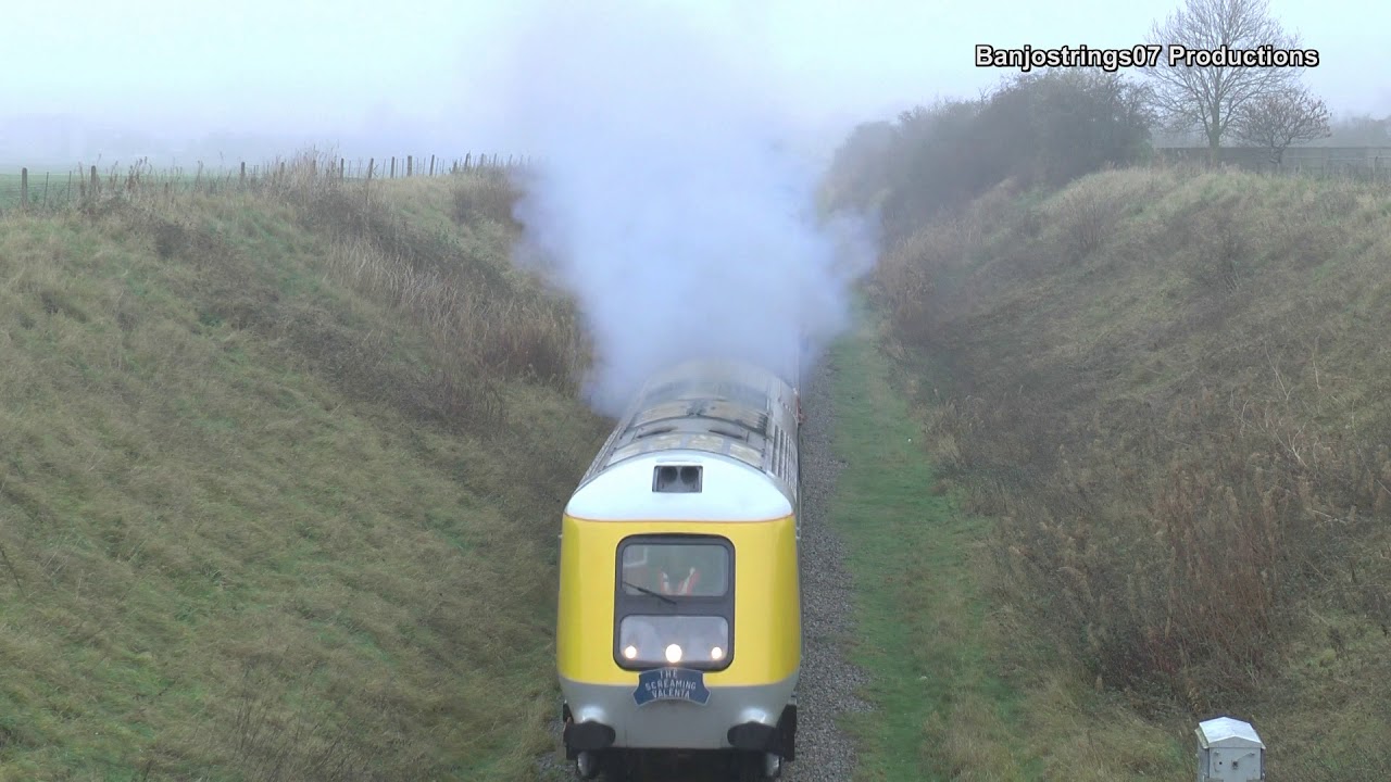 VALENTA NOTCH 5! (Great for the neighbors)
