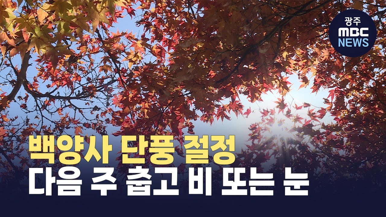 단풍 절정 백양사 인산인해...다음 주 춥고 비 또는 눈 (뉴스데스크 2025.11.15 광주MBC)