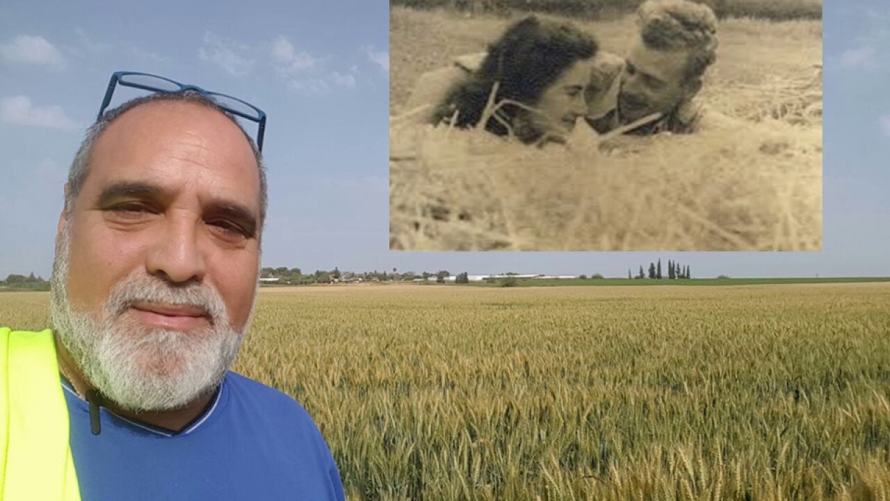 תמיר - בדרך אל הכפר