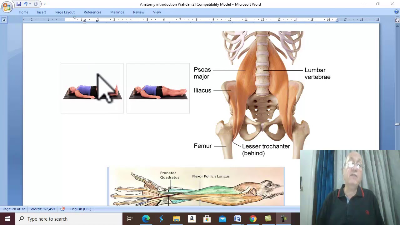 Introduction to anatomy in Arabic 13 (Muscles , part 1 ) , by Dr. Wahdan .