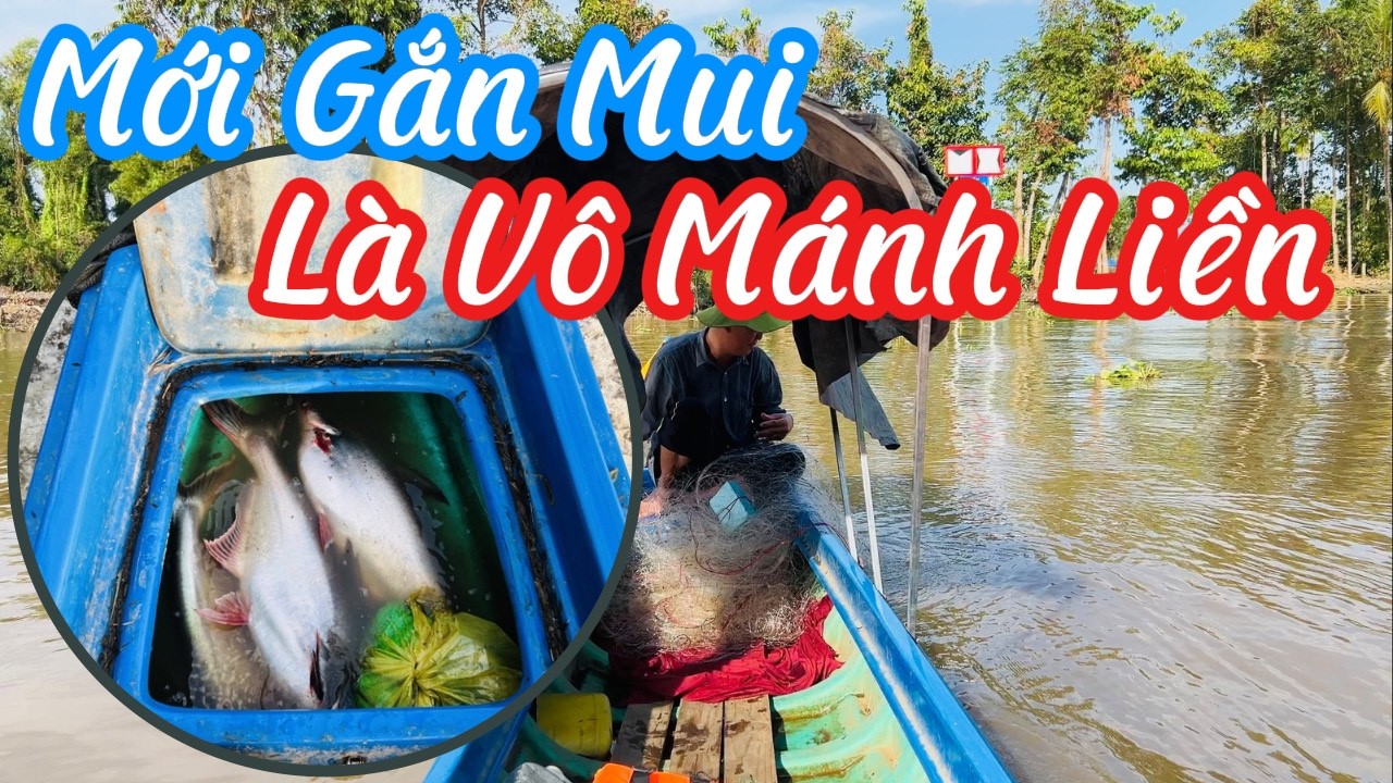 Thử Giăng Lưới Sau Khi Gắn Mui Mới | Trúng Ngay 3 Con Cá Tra Khủng