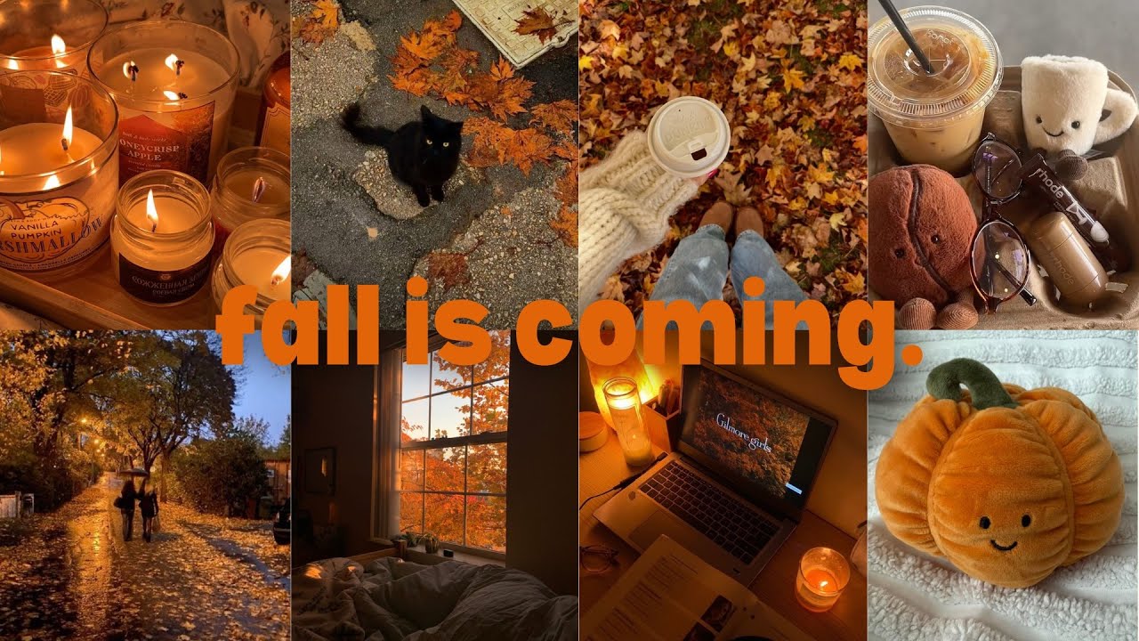 fall is coming 🍁☕️📚🍂 tiktok compilation | schl mornings | book + music recs | gilmore girls