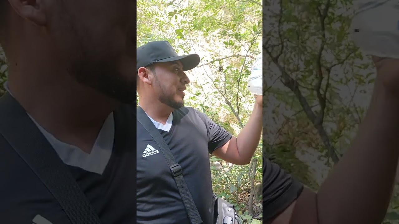 Caminata ala Cascada a la  Periquera san Antonio MasahuatCon unos amigos   