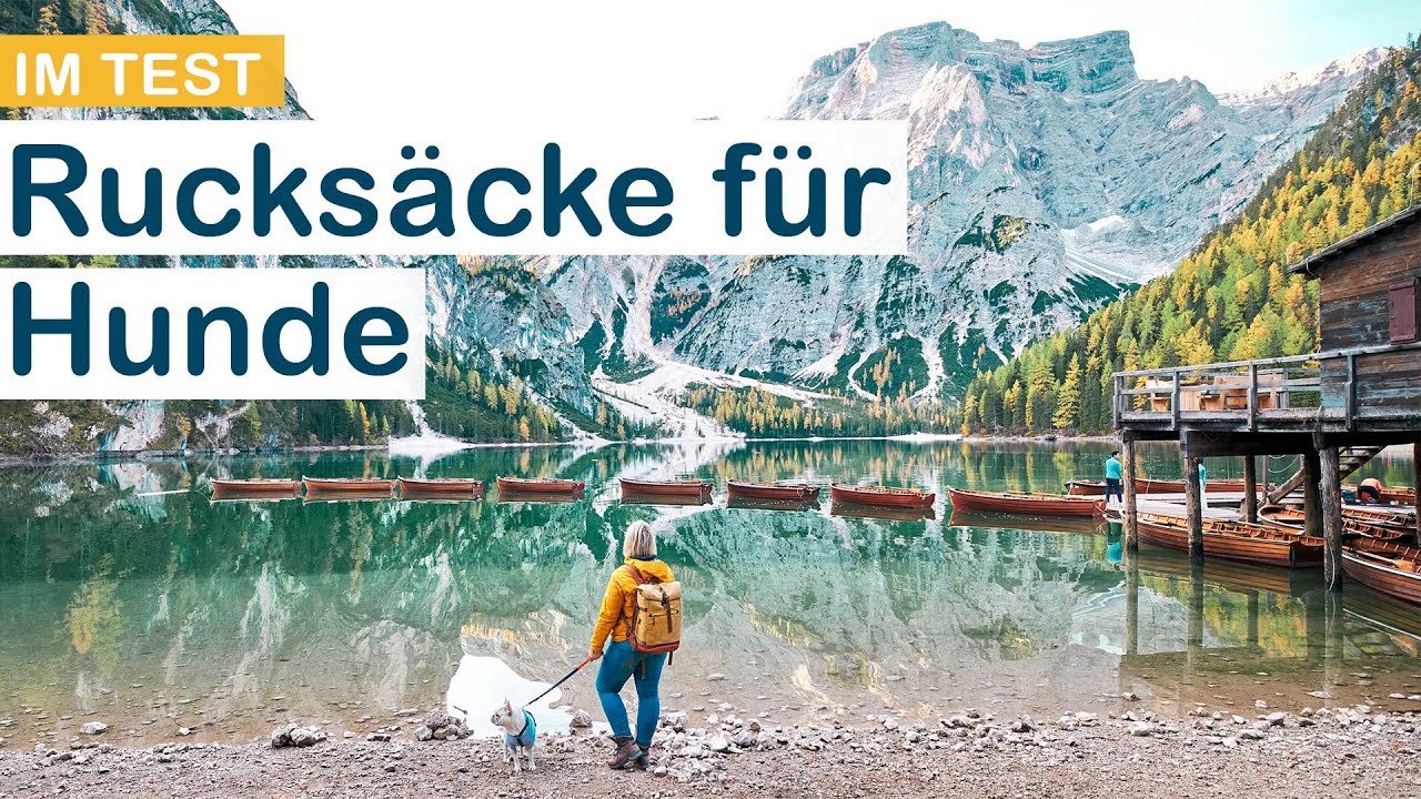 Hunderucksack, Rucksack für Hunde +10kg im Test (Kurgo vs. Dog Carrier)