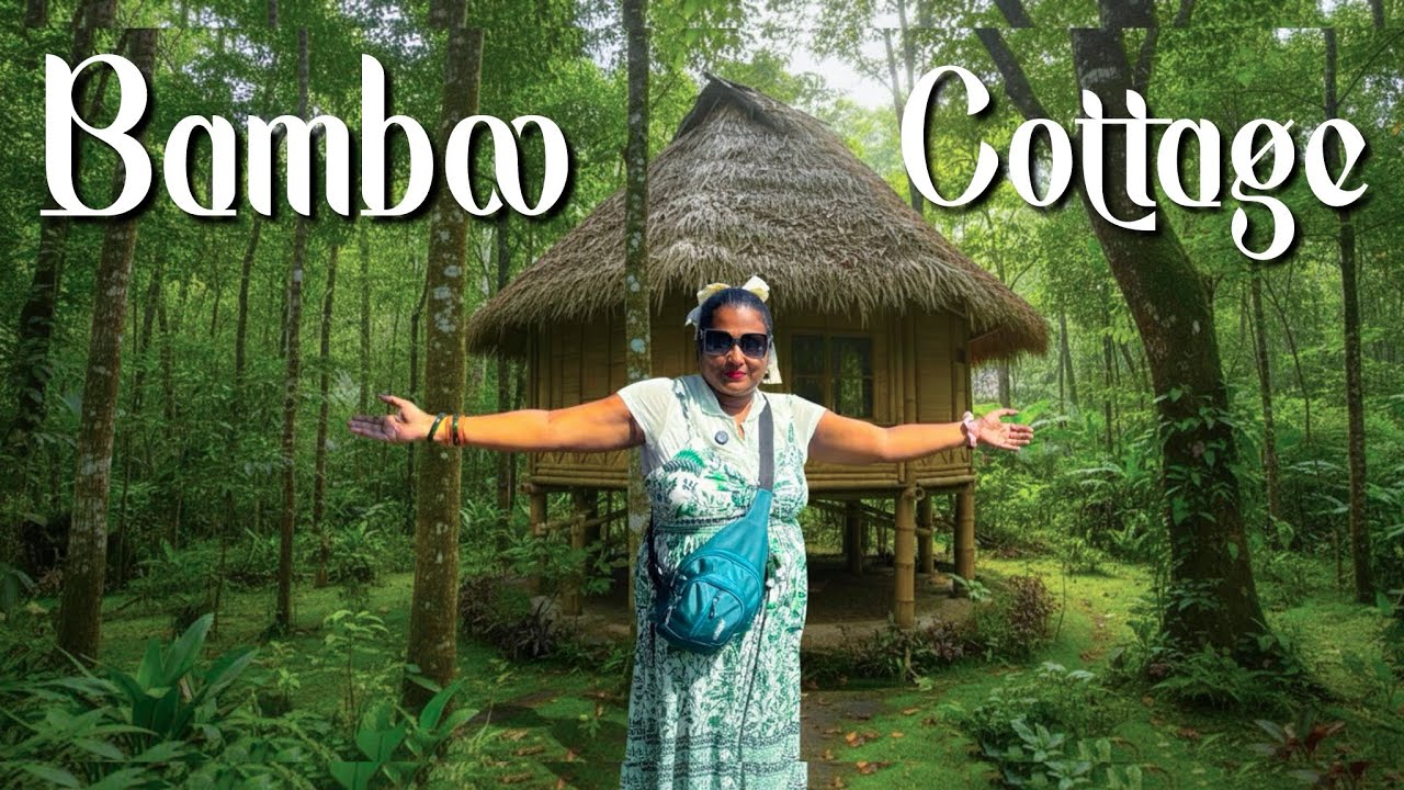 Live in Nature🌿| Art Village Netarhat | Ranchi Tour Guide #netarhat #ranchi #vlogs #bengalvlogger