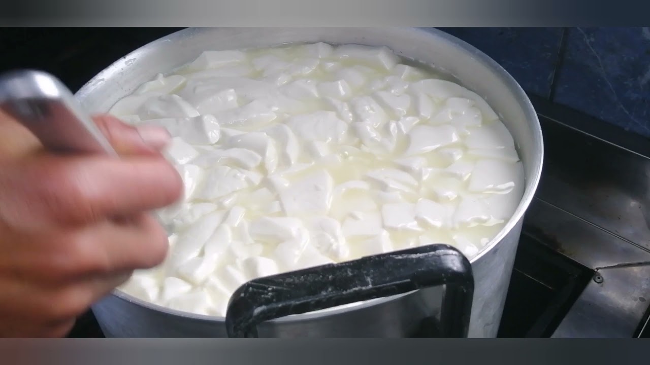 Elaboración de queso fresco con adición de fermento láctico