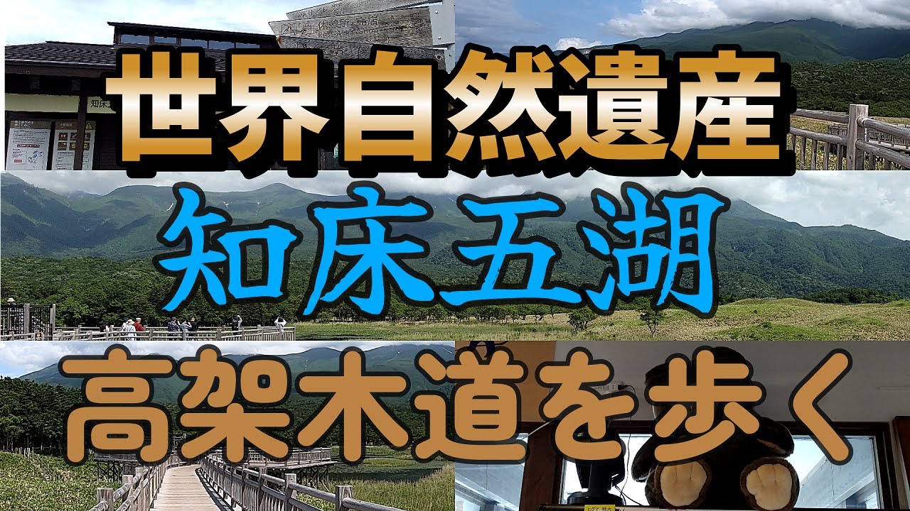 【世界自然遺産】知床五湖 高架木道を歩く